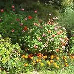 Bed & Breakfast Al Mulino *