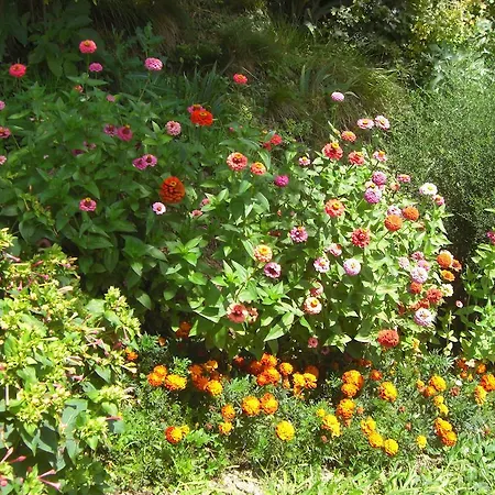 Bed & Breakfast Al Mulino *